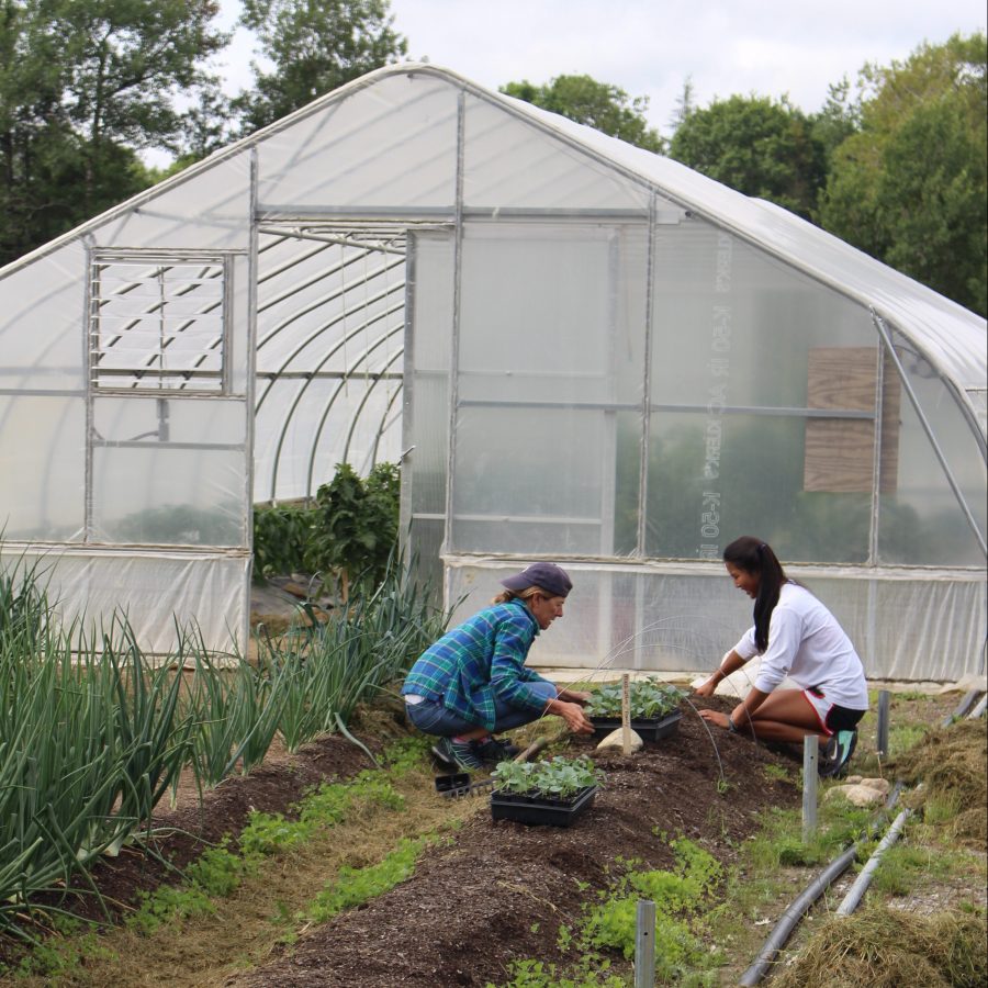 SarahandGillianandgreenhouseIMG_1627