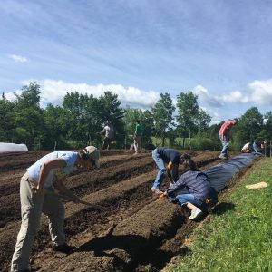 volunteersmastergardeners2018.2
